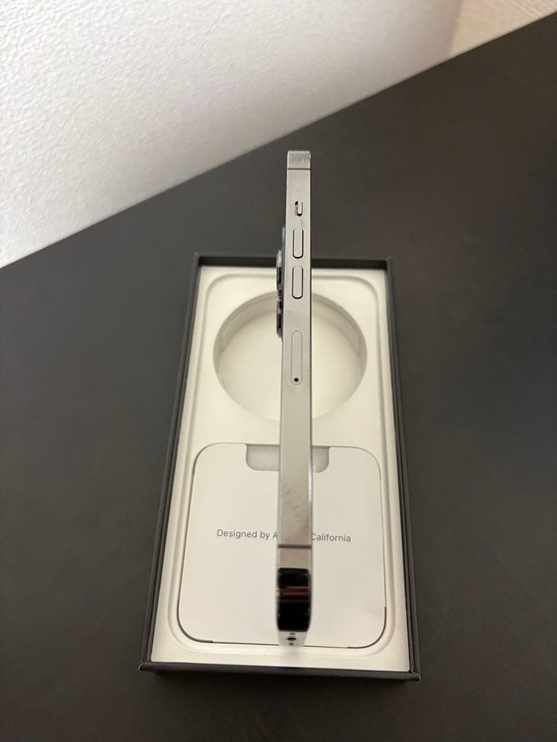 Apple iPhone 13 Pro 256GB グラファイト