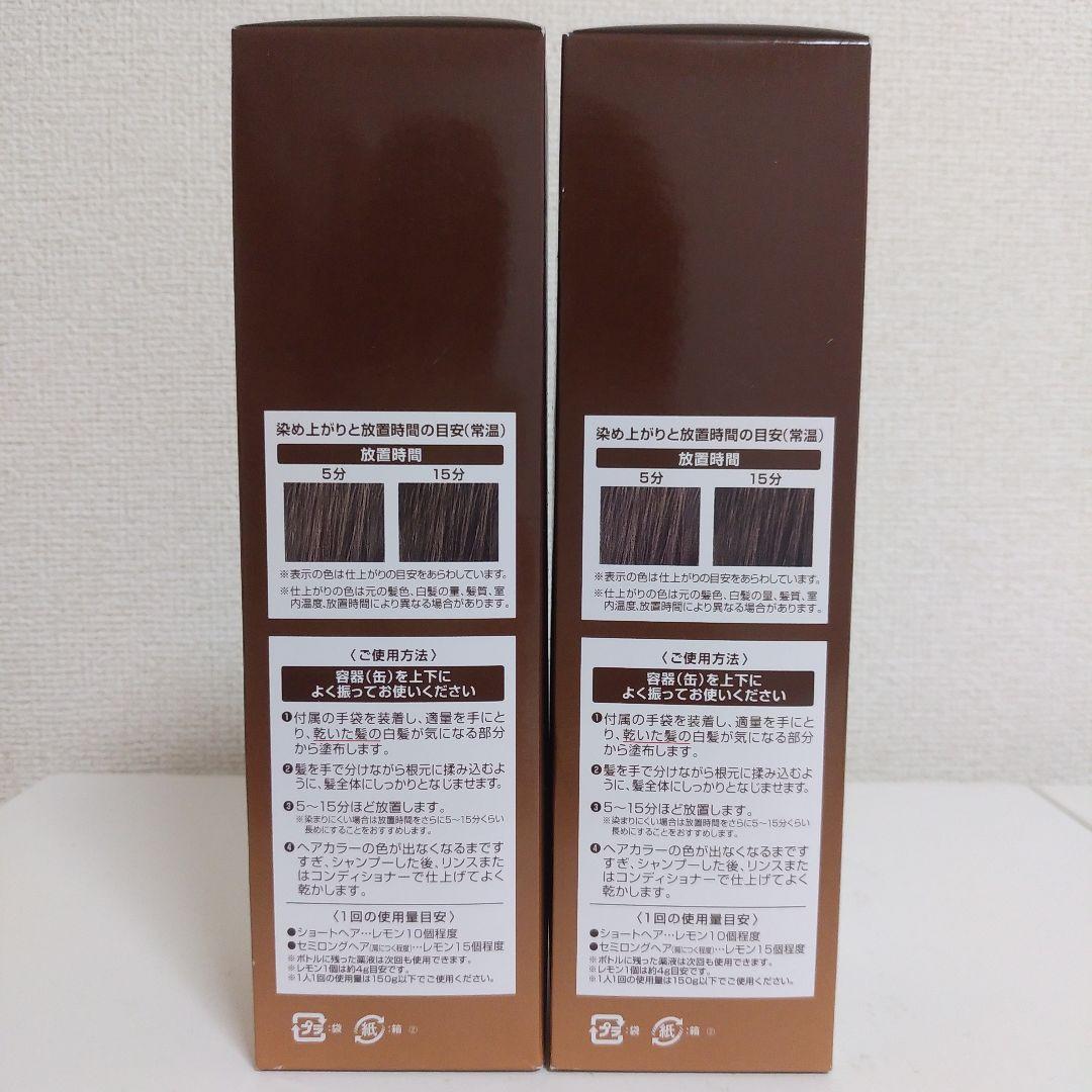 ヘアボーテエクラ ボタニカルエアカラーフォーム ダークブラウン 150g 2本