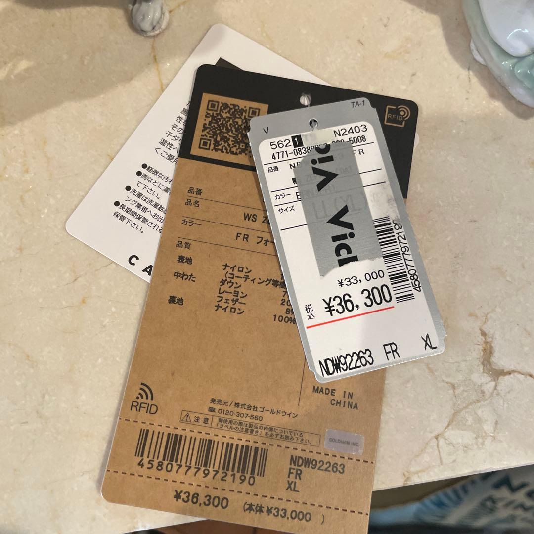 THE NORTH FACE GORE-TEX ダウンジャケット ベージュ