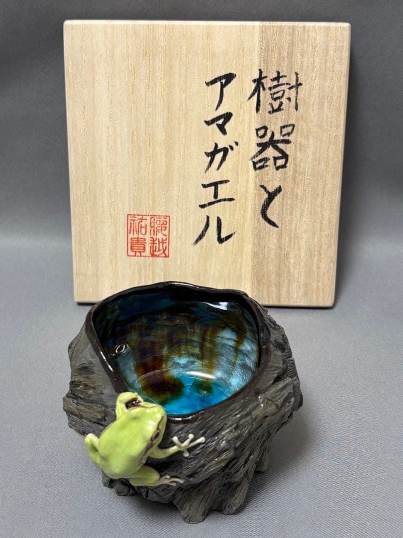 腰越祐貴　樹器とアマガエル