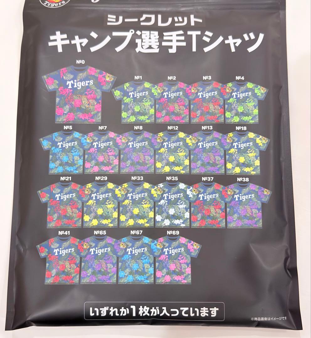 佐藤輝明　阪神タイガース　春季キャンプ2026