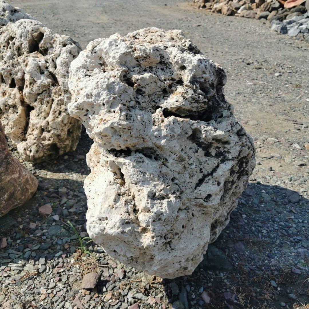 サンゴ石　93キロ　庭石　石　鑑賞石 石材　庭　ガーデニング　置物　オブジェ