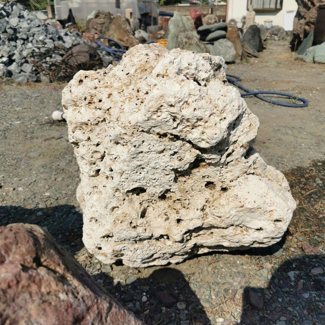 サンゴ石　93キロ　庭石　石　鑑賞石 石材　庭　ガーデニング　置物　オブジェ