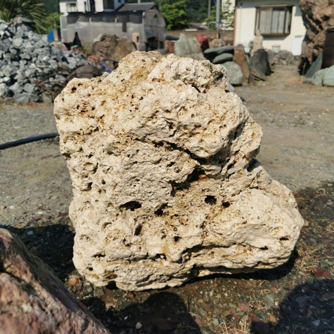 サンゴ石　93キロ　庭石　石　鑑賞石 石材　庭　ガーデニング　置物　オブジェ