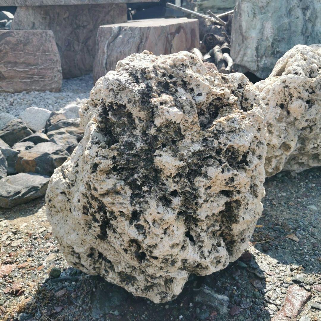 サンゴ石　93キロ　庭石　石　鑑賞石 石材　庭　ガーデニング　置物　オブジェ