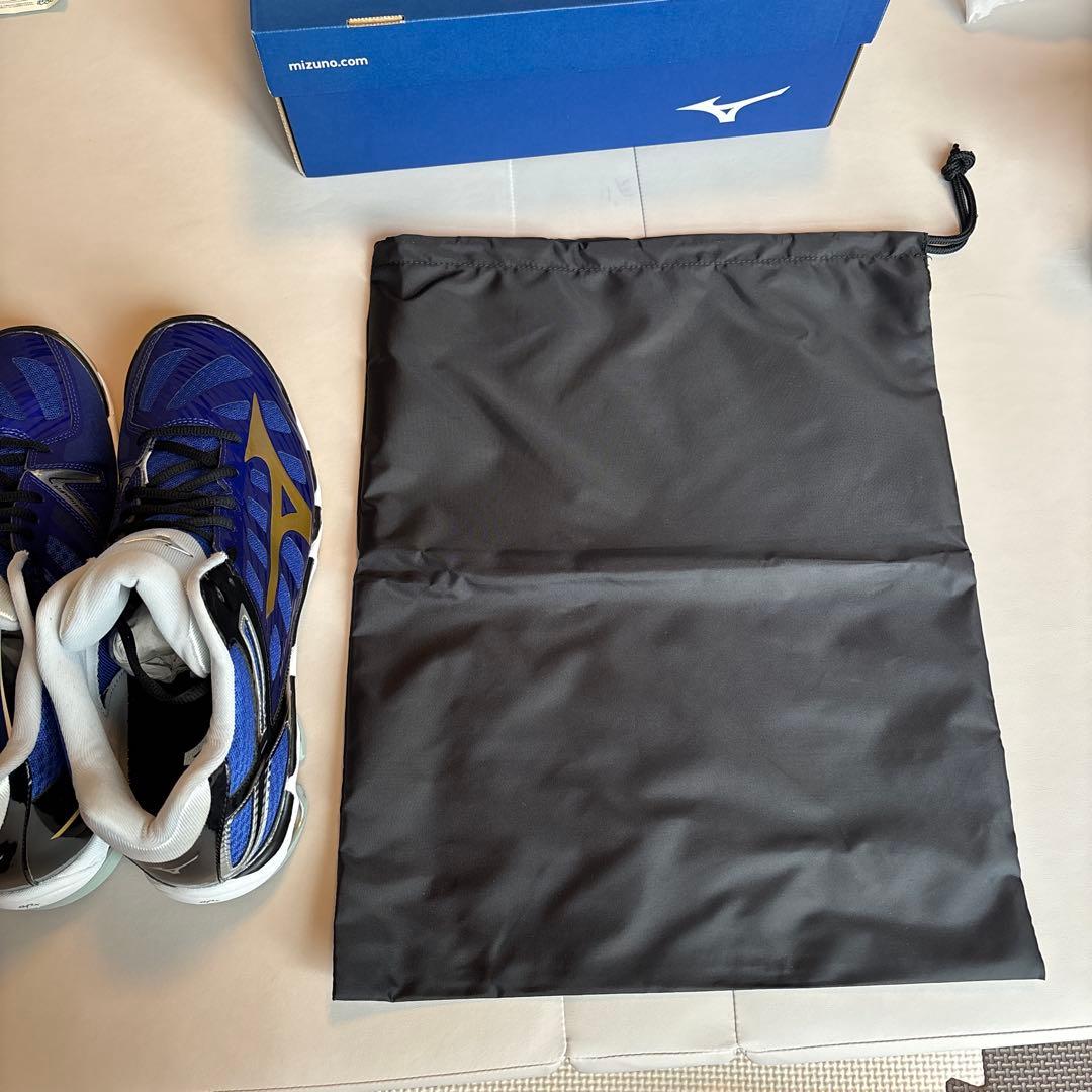 Mizuno バレーボールシューズ ※ケース付き 29cm ハイカット