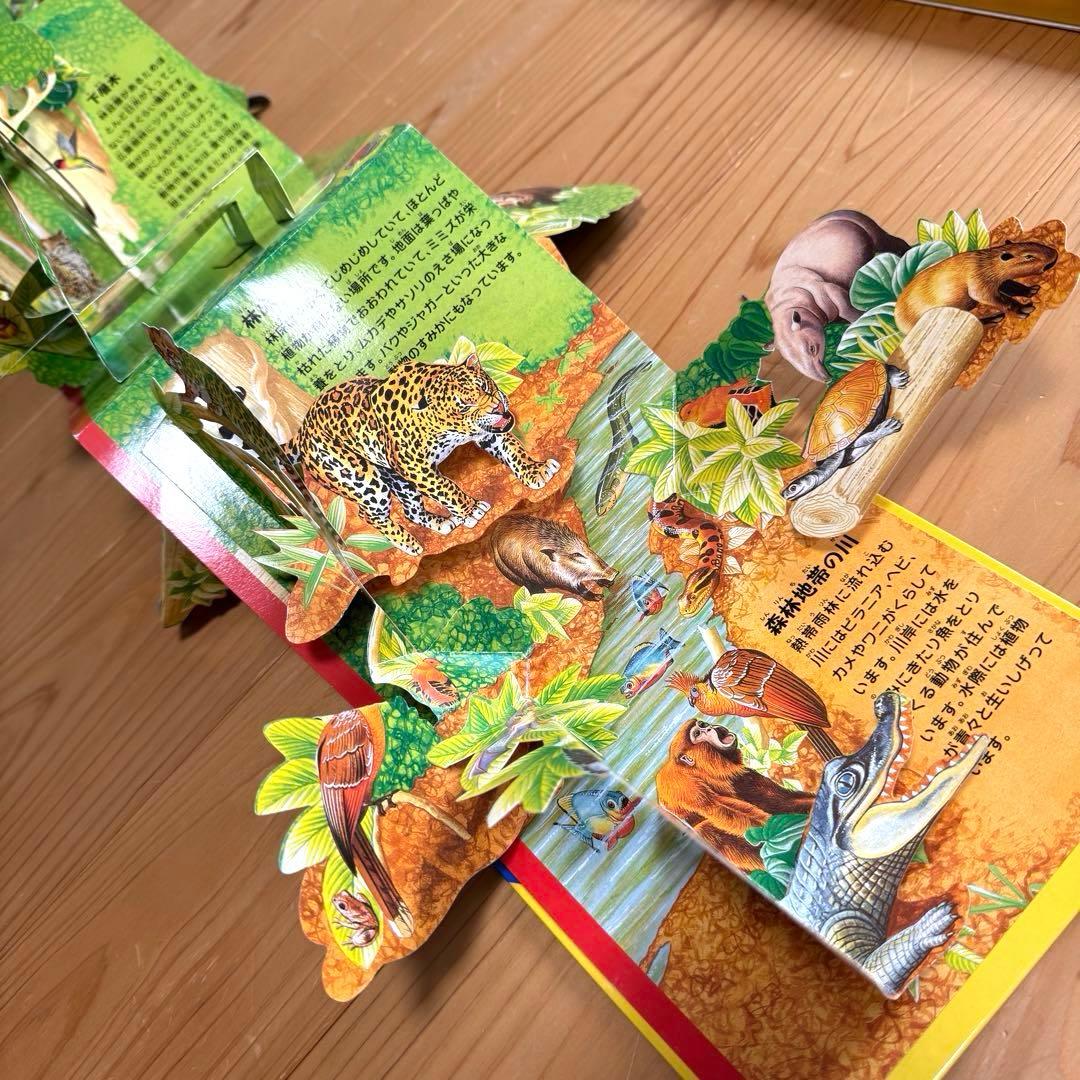 赤ちゃん0歳から 幼児 読み聞かせ 絵本 仕掛け絵本 セット まとめ売り 50冊