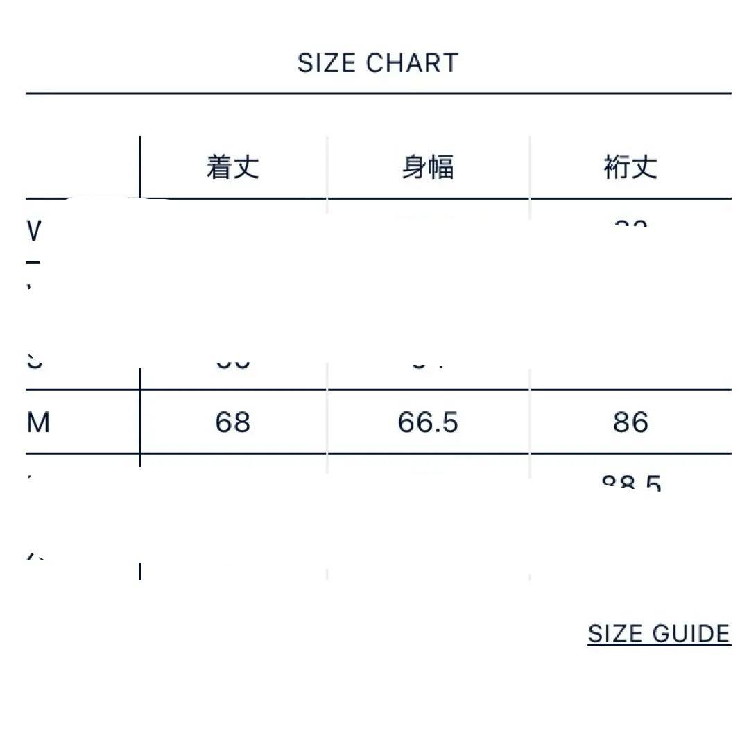 【試着のみ】THE NORTH FACE パープルレーベル マウンテンパーカ