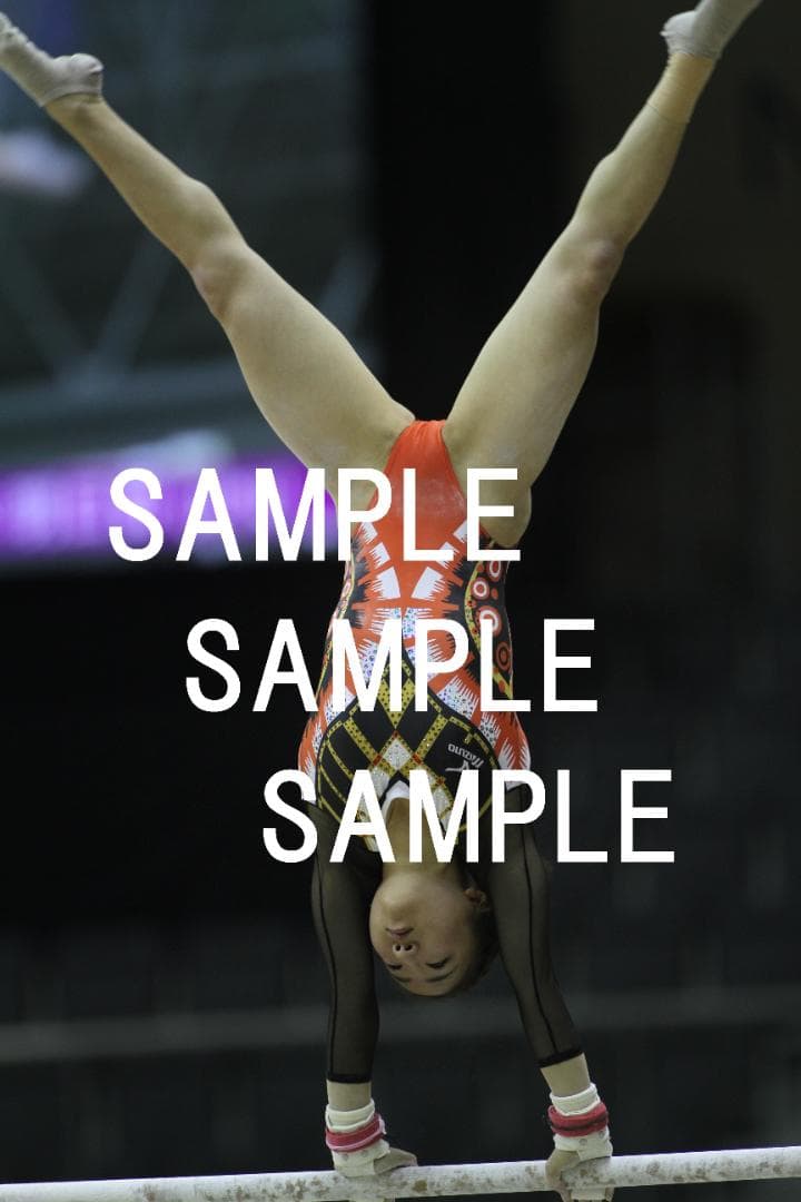 ★9/30終売★寺本明日香 画像集(2015～2019年) 約15,500枚