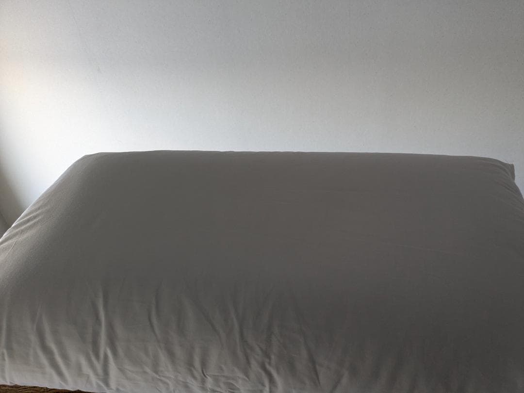 ファベ社　メディカル枕　通販生活