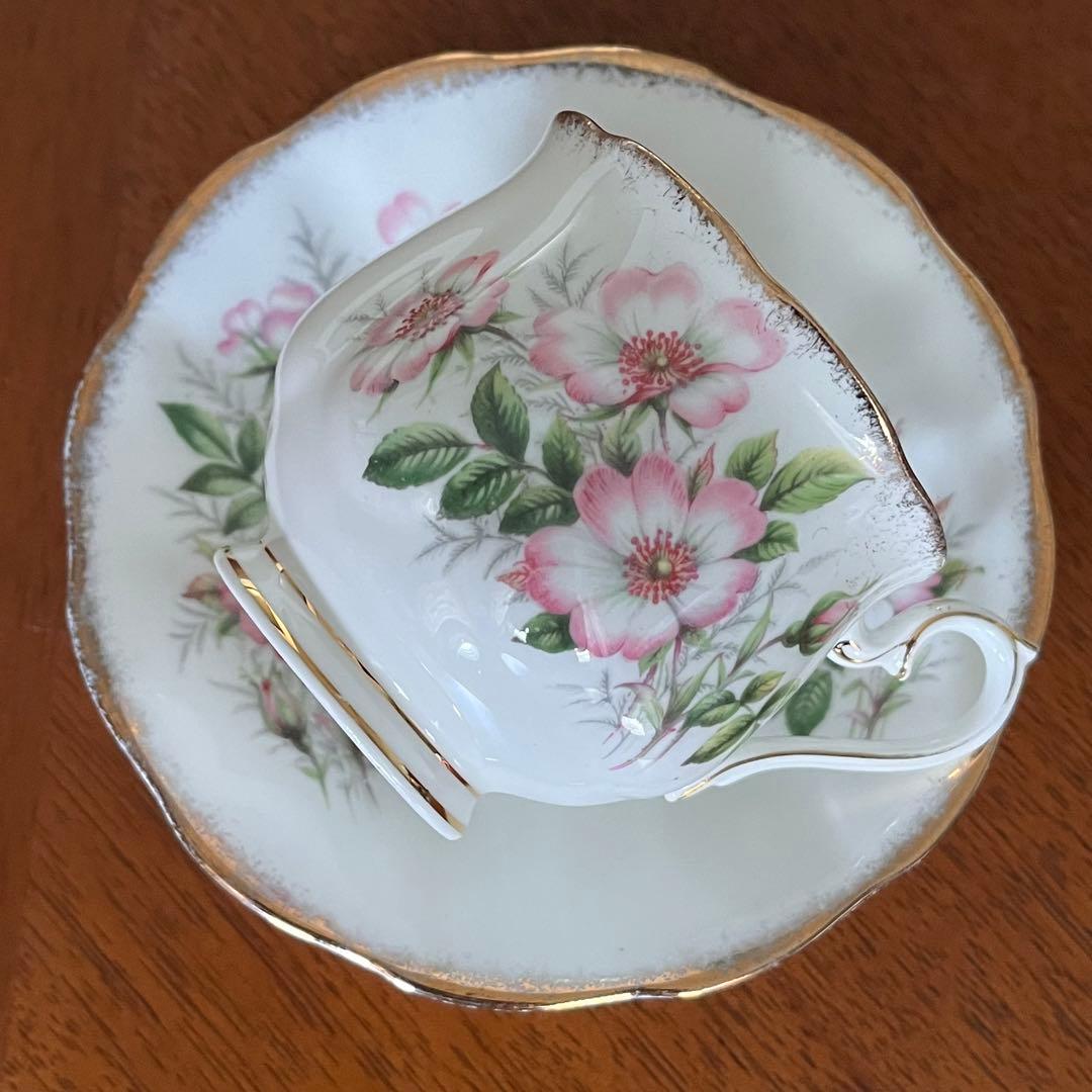 【英国ビンテージ】ロイヤルアルバート★ワイルドローズ★C/S