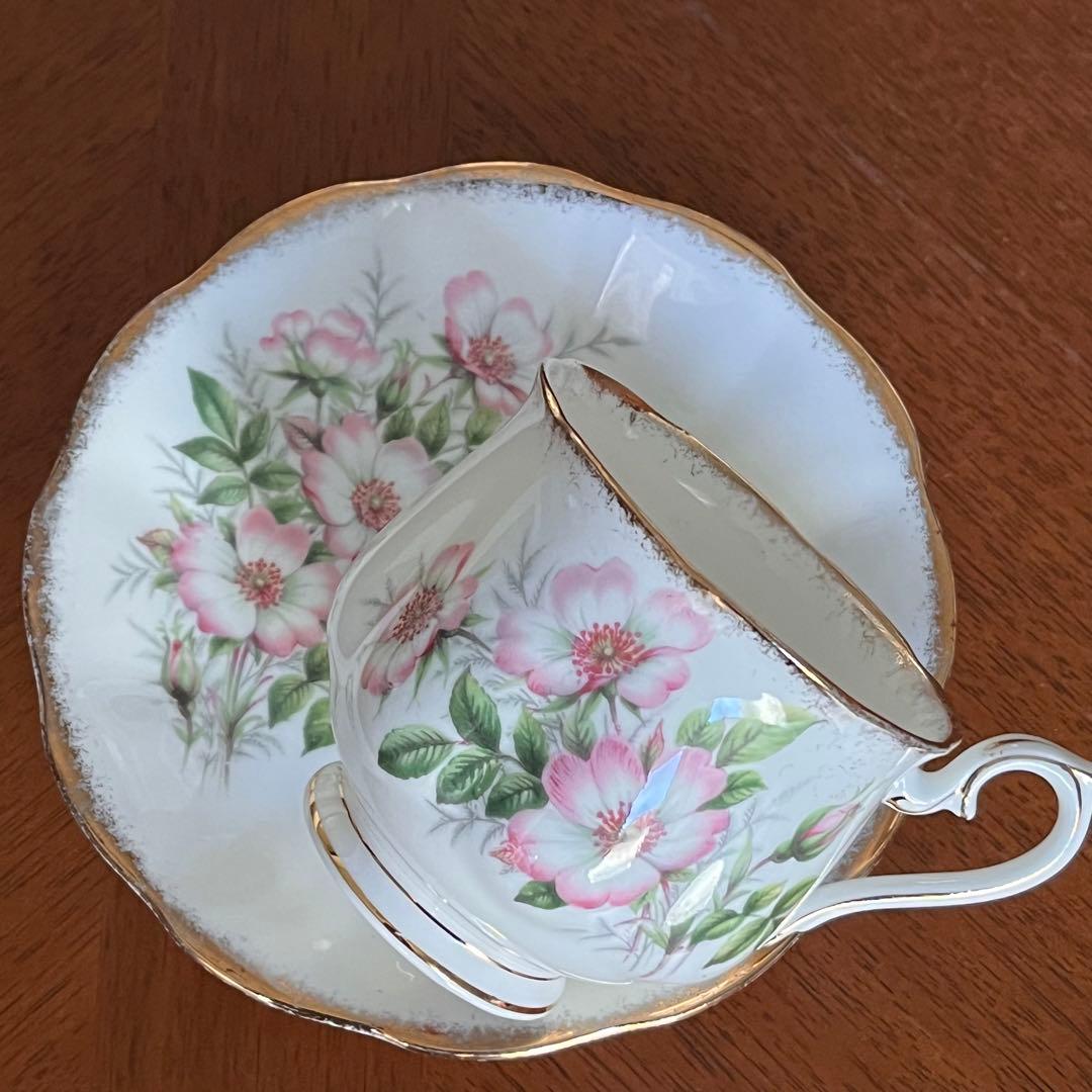 【英国ビンテージ】ロイヤルアルバート★ワイルドローズ★C/S