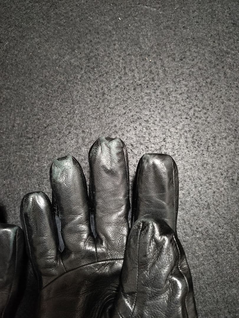 最終値下げ　アークテリクス グローブ ゴアテックス レザー ARC'TERYX