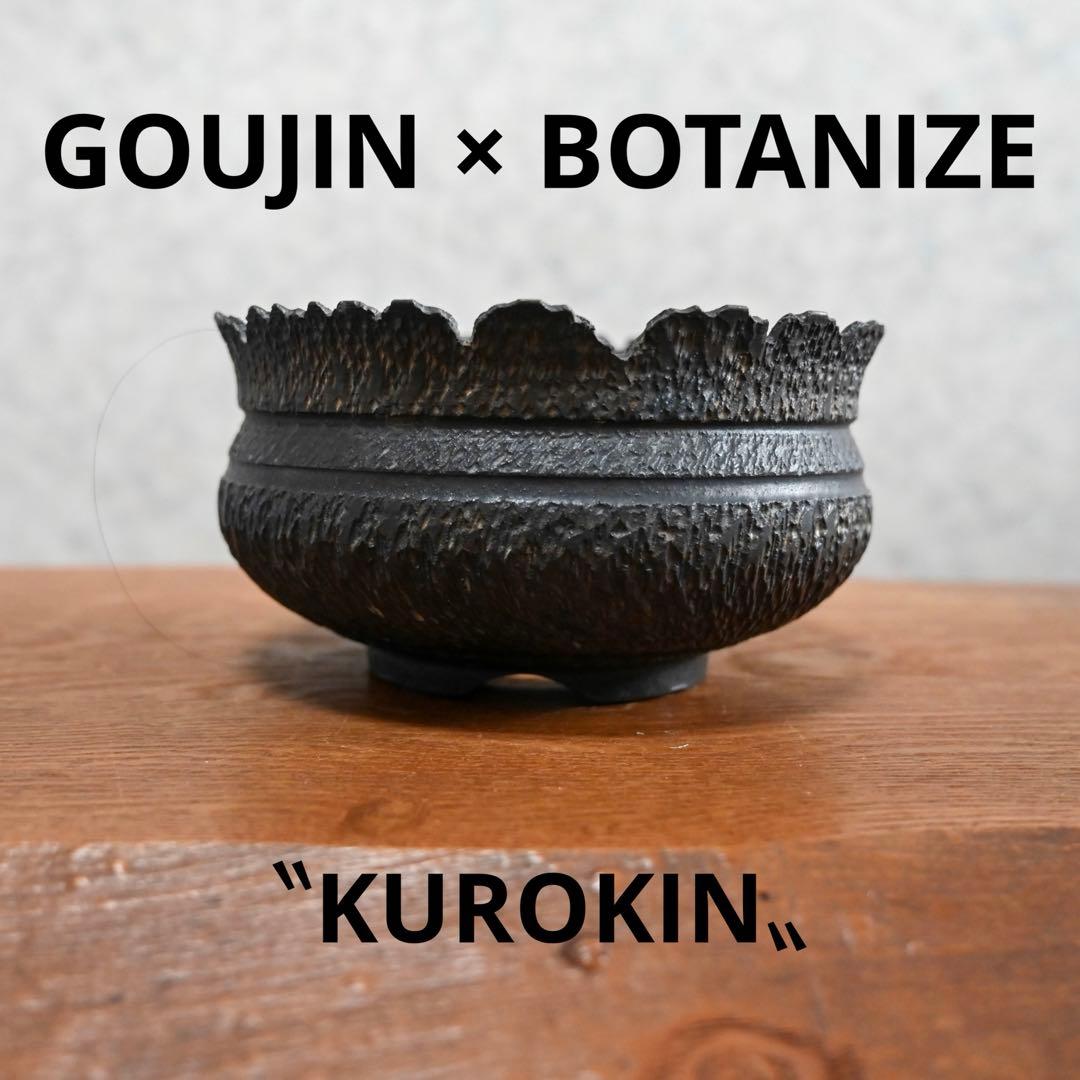 GOUJIN × BOTANIZE 〝KUROKIN〟