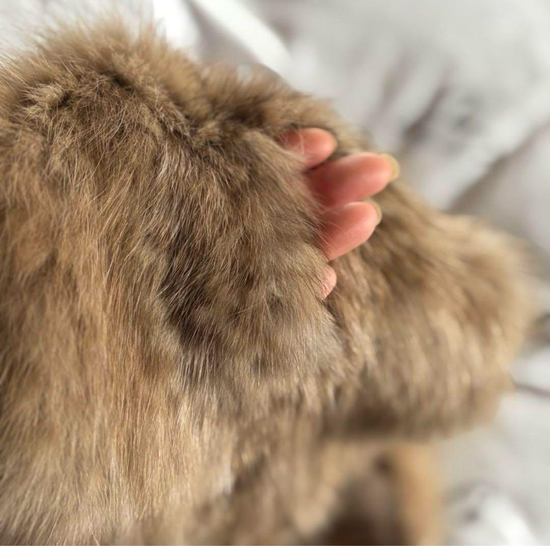 ロシアンセーブル グラデーションロングファーマフラー　セーブルファー