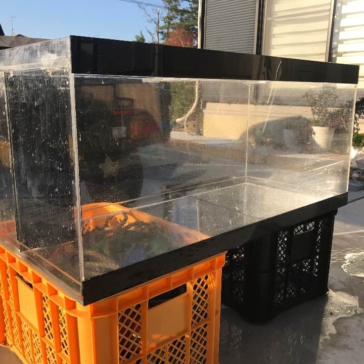 滋賀 AQUAFISH 水槽