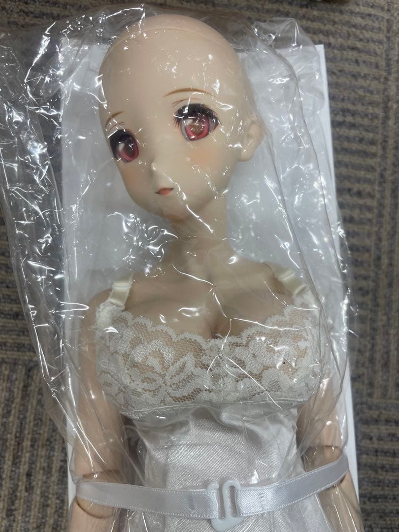 【極美品】ドルフィードリーム ボークス ダイナマイト トワ