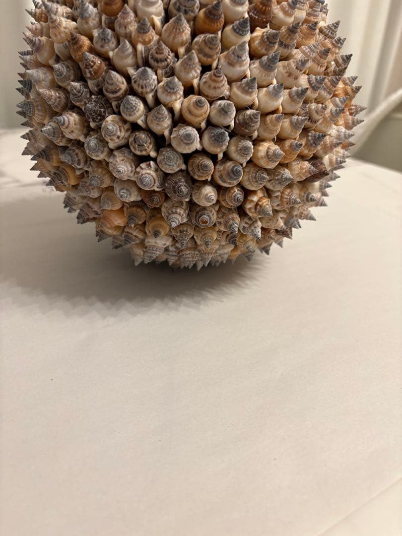 貝殻のスパイキーな置物 約15cm