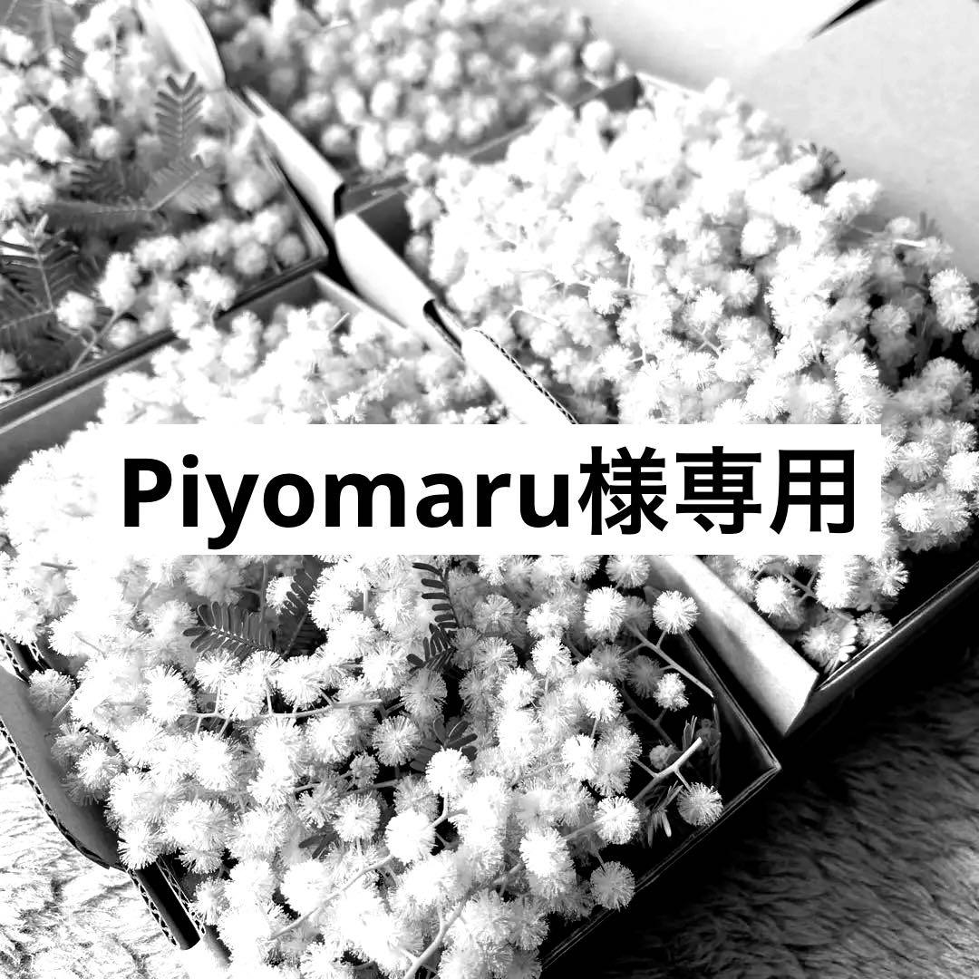 2026年 フレッシュミモザ　小型ダンボール1箱590円