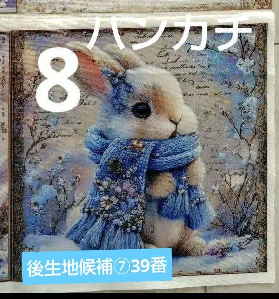 専用です。申し訳ございません。キャンセルさせて頂きます。