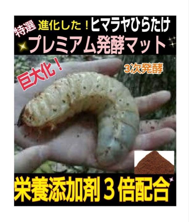 ギネスサイズ実績！特選プレミアム3次発酵カブトムシマット【6袋】特殊アミノ酸配合