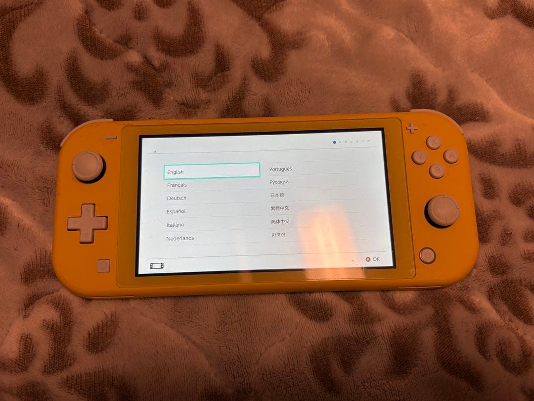 b*l様 Nintendo Switch Lite スイッチライト 動作確認済