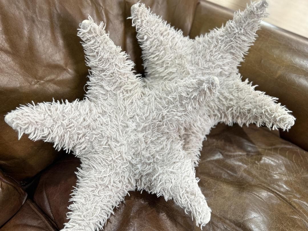 【セット】Ron Herman / ロンハーマン　BigStuffed　ヒトデ