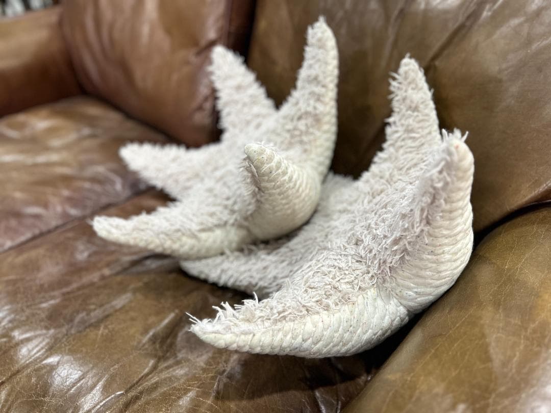 【セット】Ron Herman / ロンハーマン　BigStuffed　ヒトデ