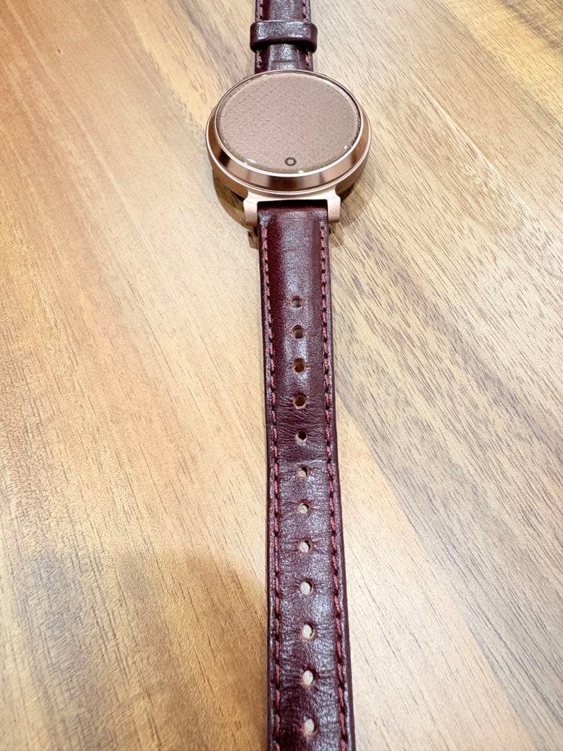 時計 Garmin Lily 2 classic