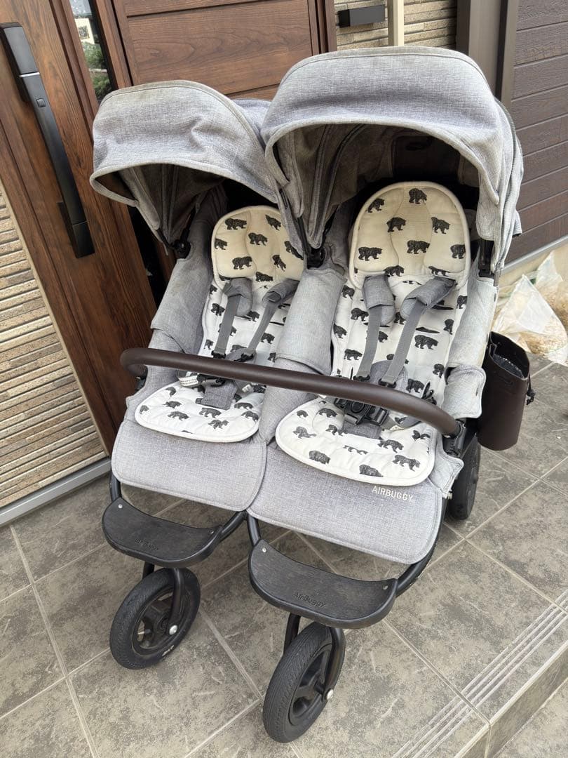 エアバギーココダブル フロムバース