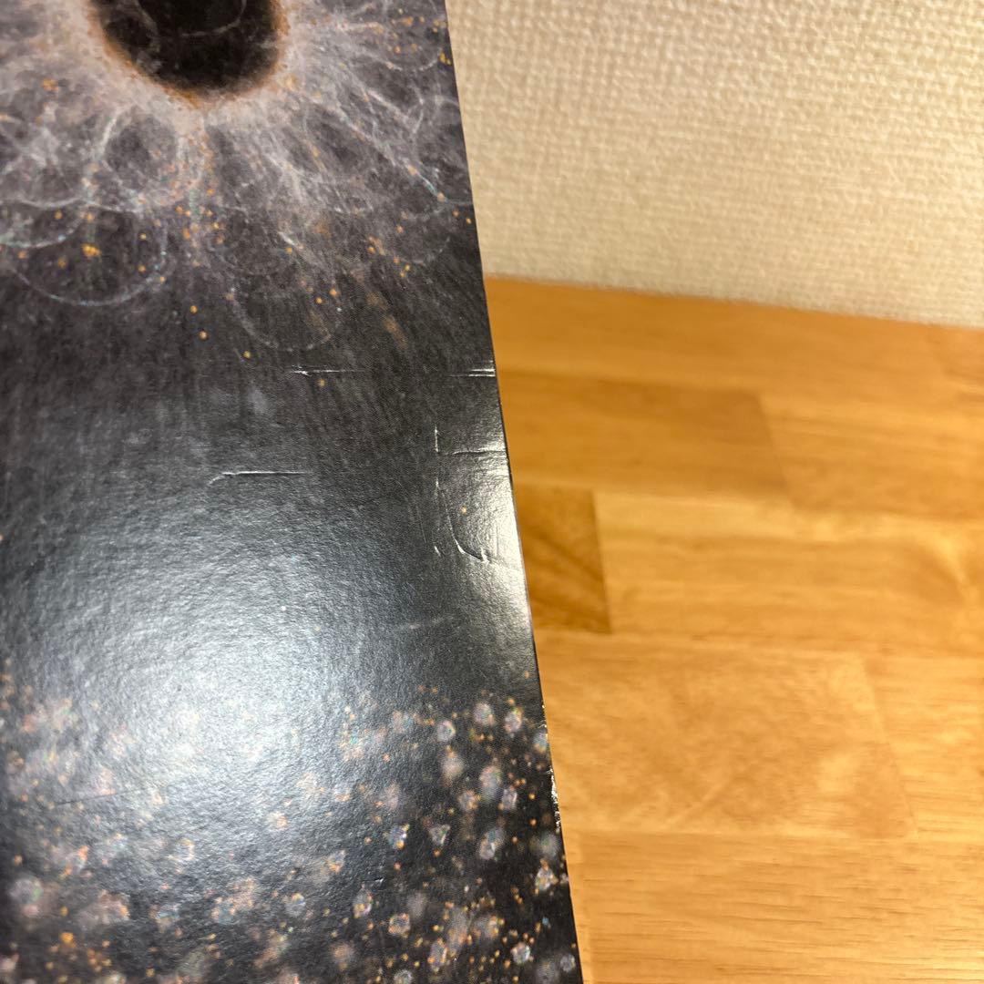 坂本龍一 plankton アナログ盤