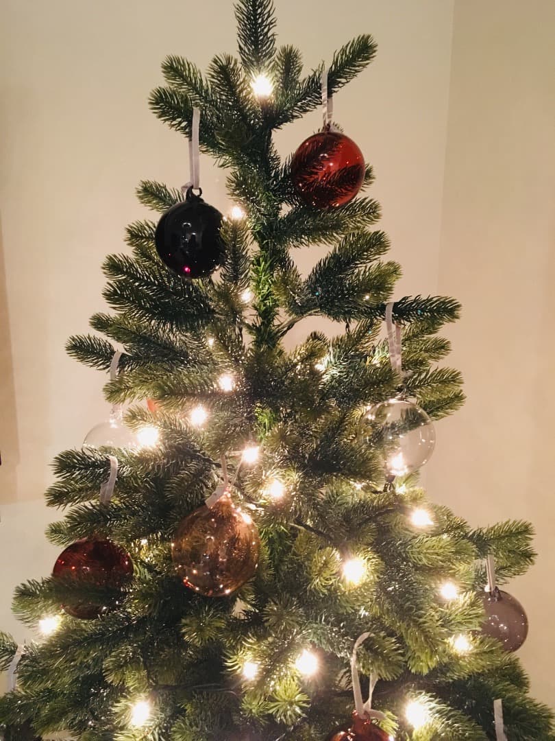 RSグローバルトレード社　global rs trade ツリー