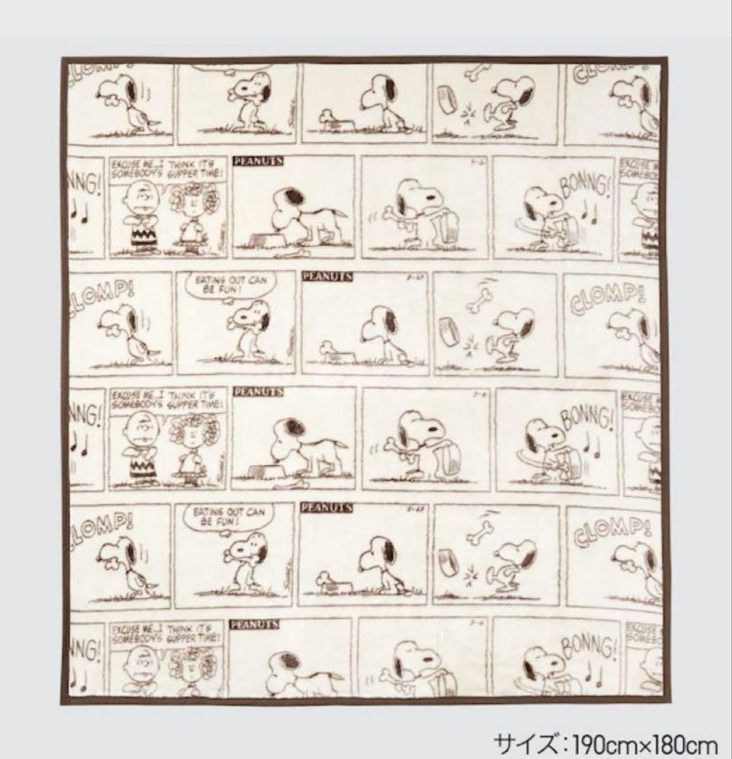 【新品未使用】稀少‼️ スヌーピー HEATTECH 毛布　ダブル
