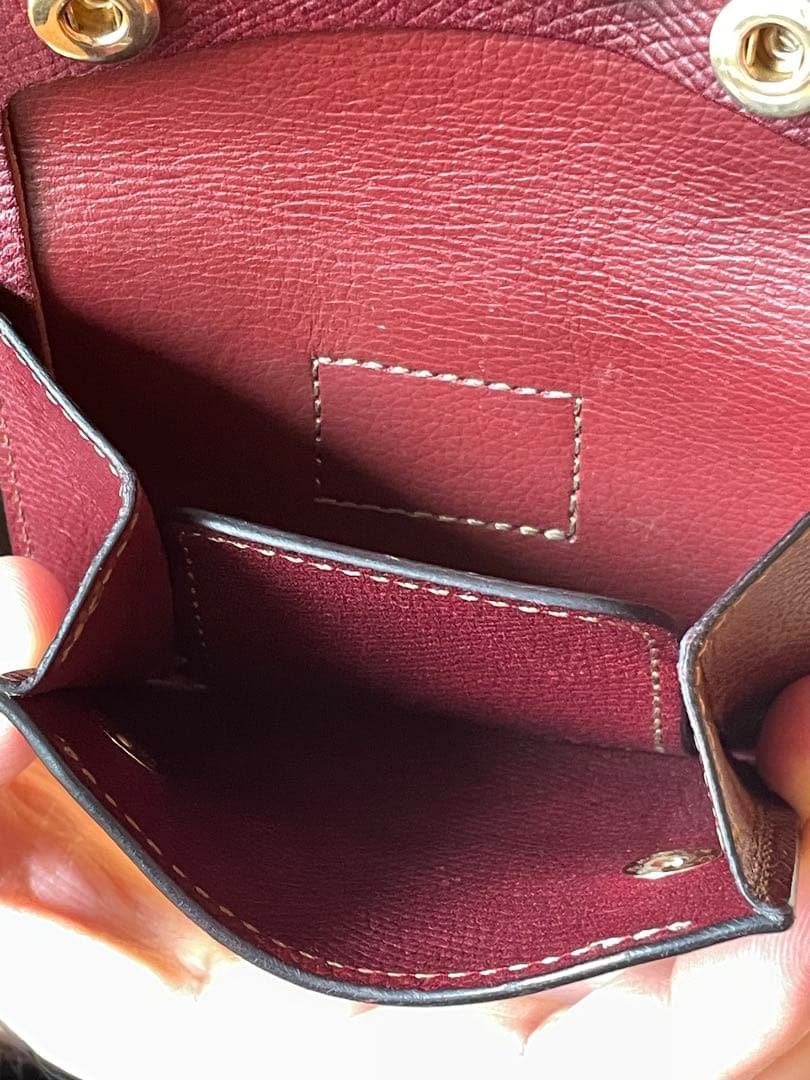 【最終値下】ワイルドスワンズ　Eno イーノ　シェルコードバンWILDSWANS