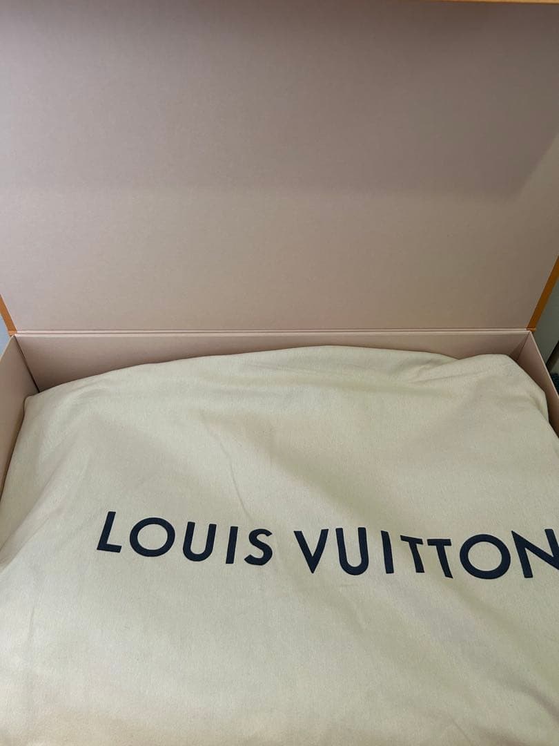 【未使用級⭐︎格安】LOUISVUITTON モノグラム　エクリプス カバ ジップ