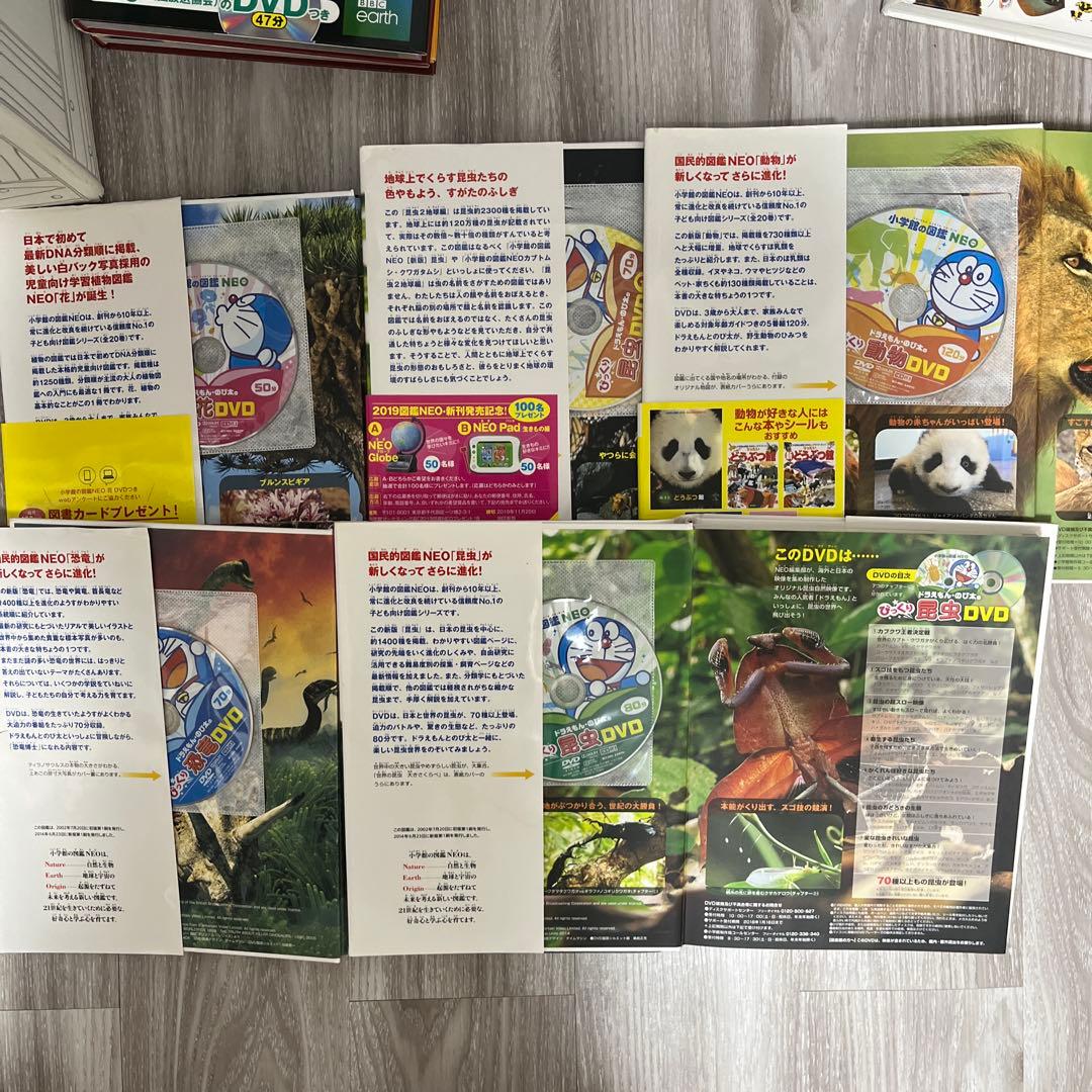 小学館の図鑑NEO 12冊➕学研の図鑑LIVE2冊　楽しみながら知識が身につく