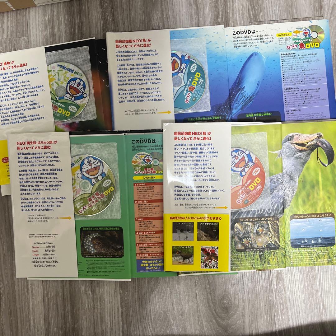 小学館の図鑑NEO 12冊➕学研の図鑑LIVE2冊　楽しみながら知識が身につく