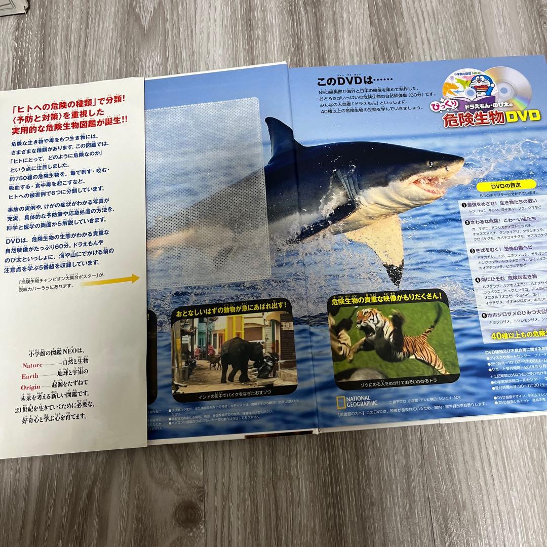 小学館の図鑑NEO 12冊➕学研の図鑑LIVE2冊　楽しみながら知識が身につく