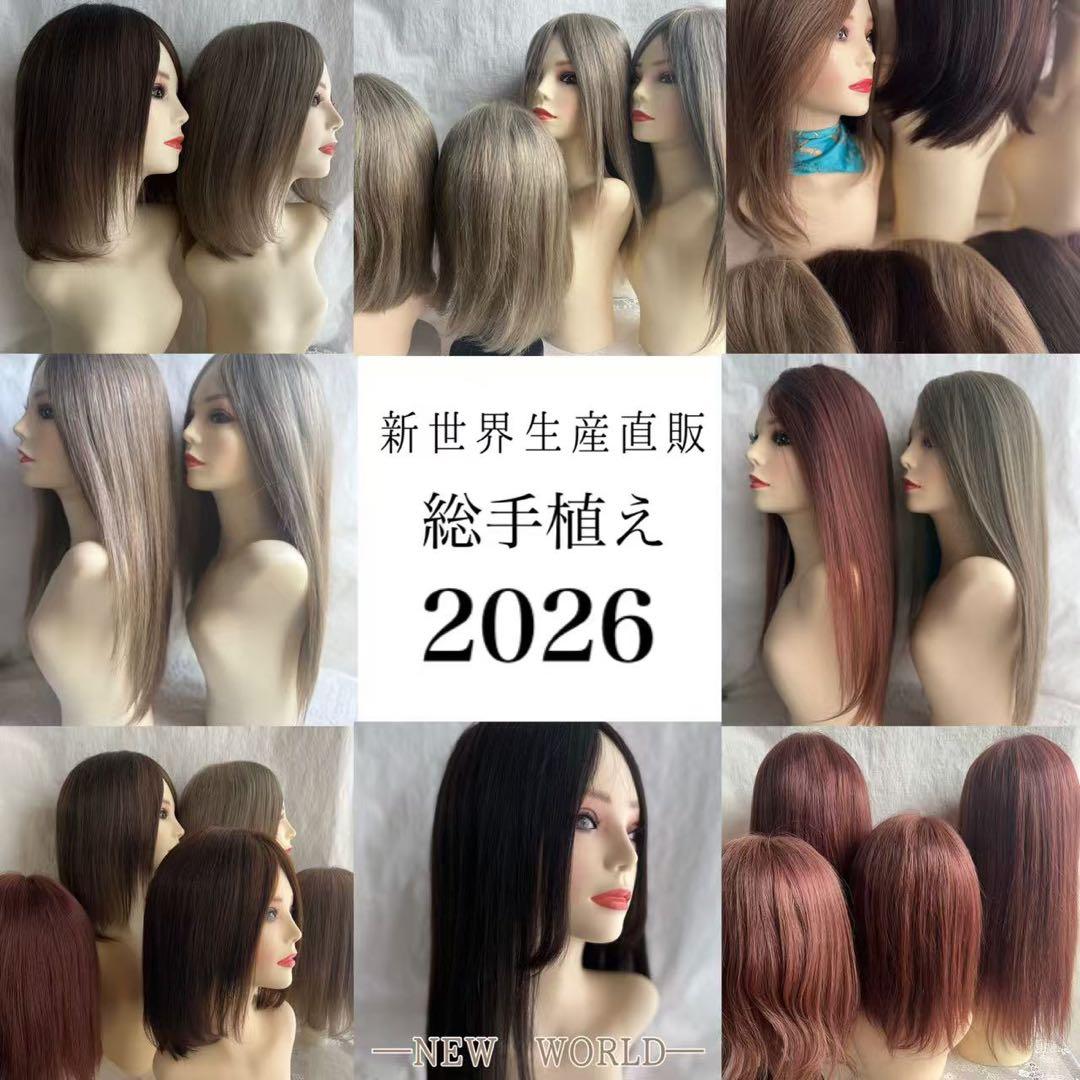 最新2026新世界調和技術　人毛100%　ウィッグ　シルクスキン　医療ウィッグ