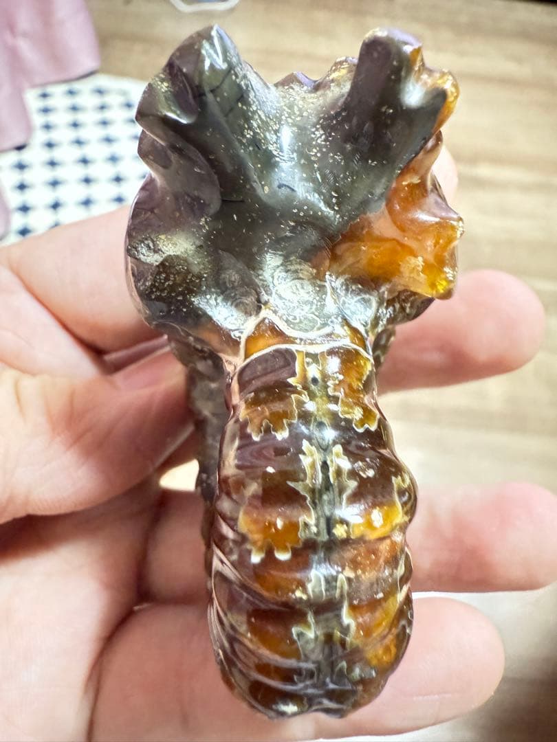 新品　マダガスカルのアンモナイト化石　超大　本物保証　おまけ付き　希少　送料無料