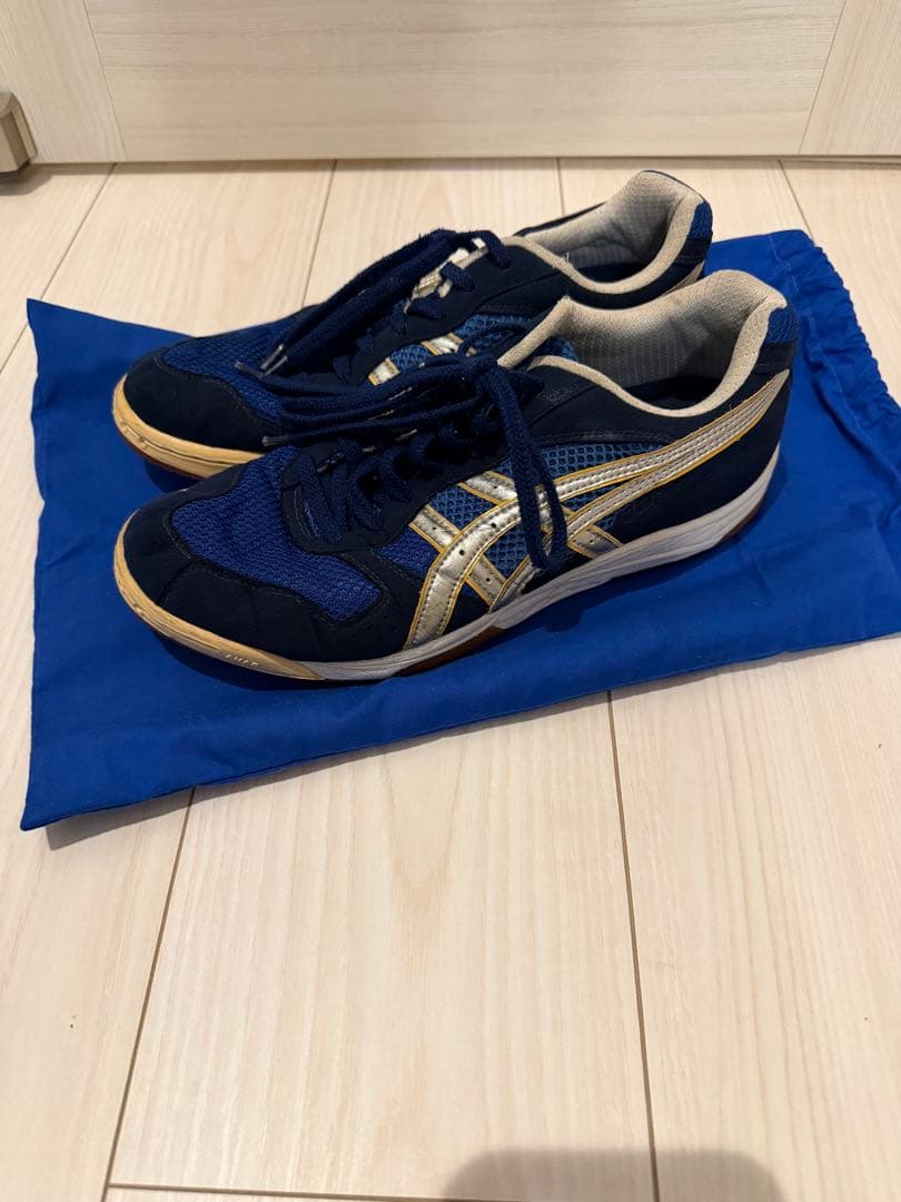 バレーボール オーダーシューズ【廃盤商品】