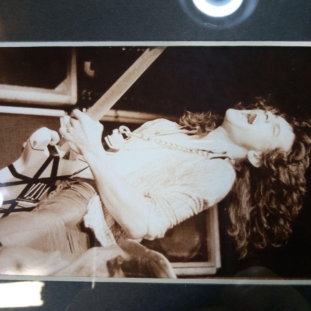 EDDIE VAN HALEN　置物　額　ピック　アート　インテリア　オブジェ