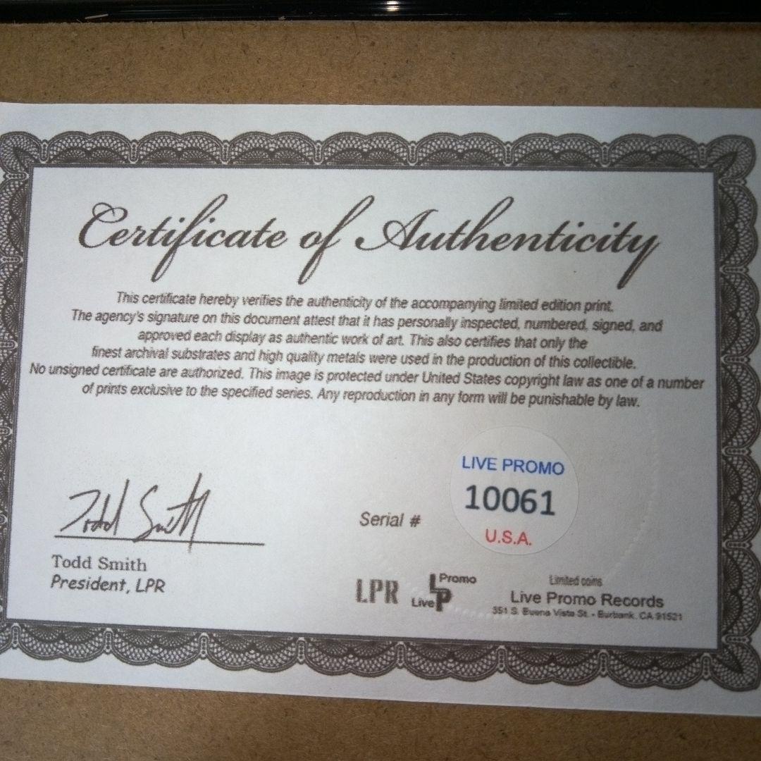 EDDIE VAN HALEN　置物　額　ピック　アート　インテリア　オブジェ