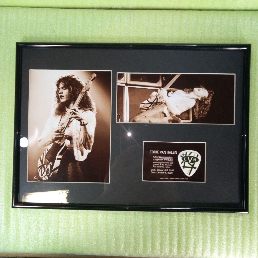 EDDIE VAN HALEN　置物　額　ピック　アート　インテリア　オブジェ