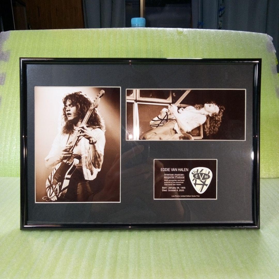 EDDIE VAN HALEN　置物　額　ピック　アート　インテリア　オブジェ