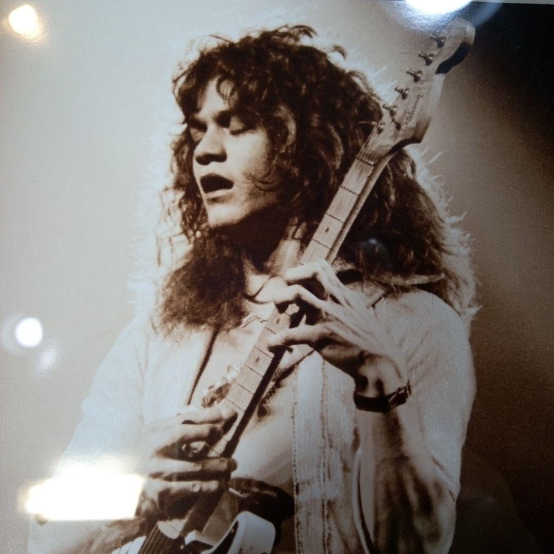 EDDIE VAN HALEN　置物　額　ピック　アート　インテリア　オブジェ