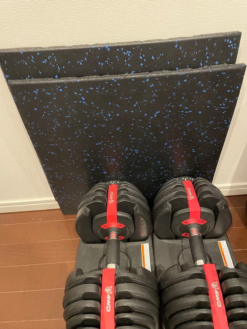 【引き取り限定】FLYBIRD トレーニングベンチとダンベルセット