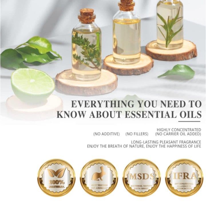 animagaga(プロフ必読)6点セット