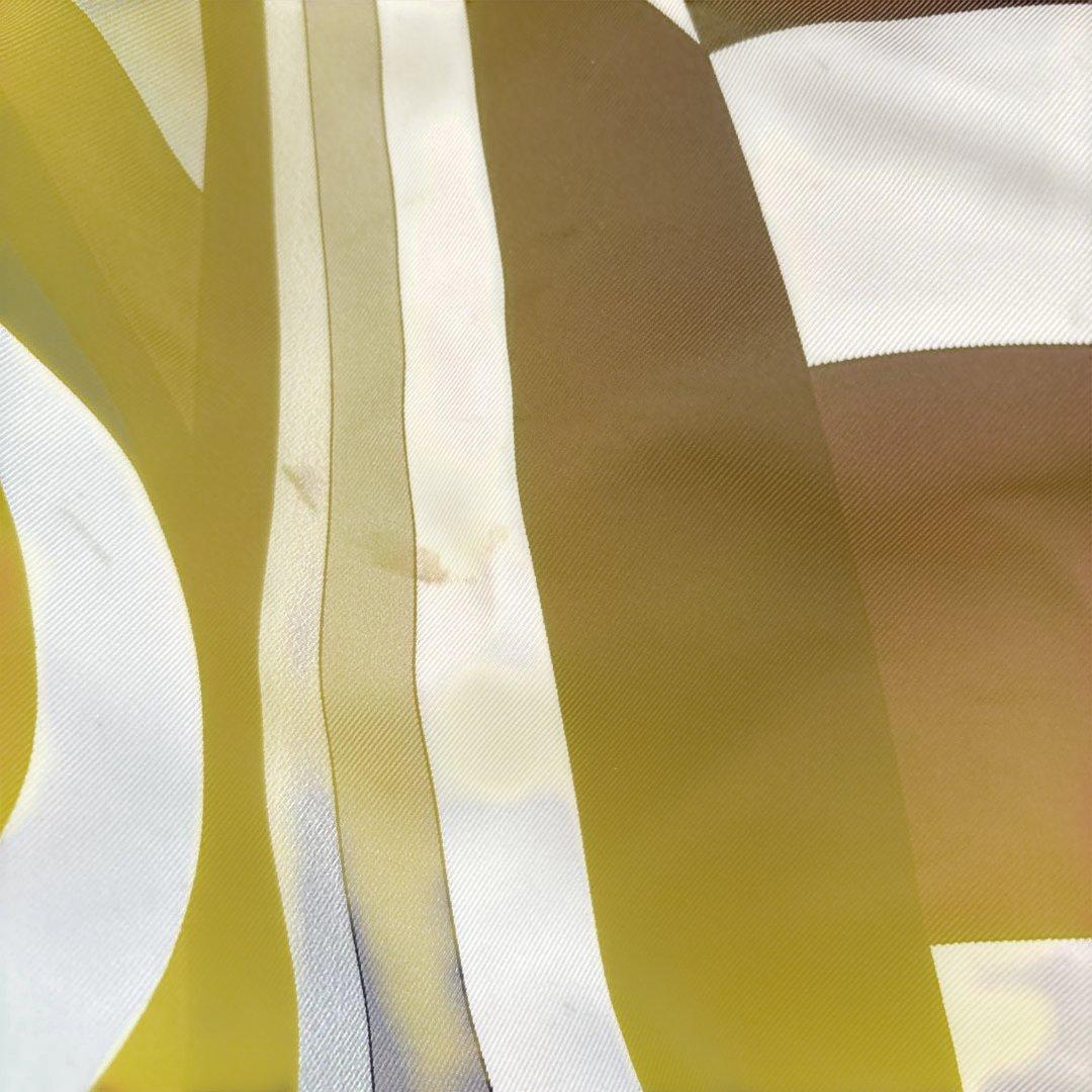 エミリオプッチ　バック