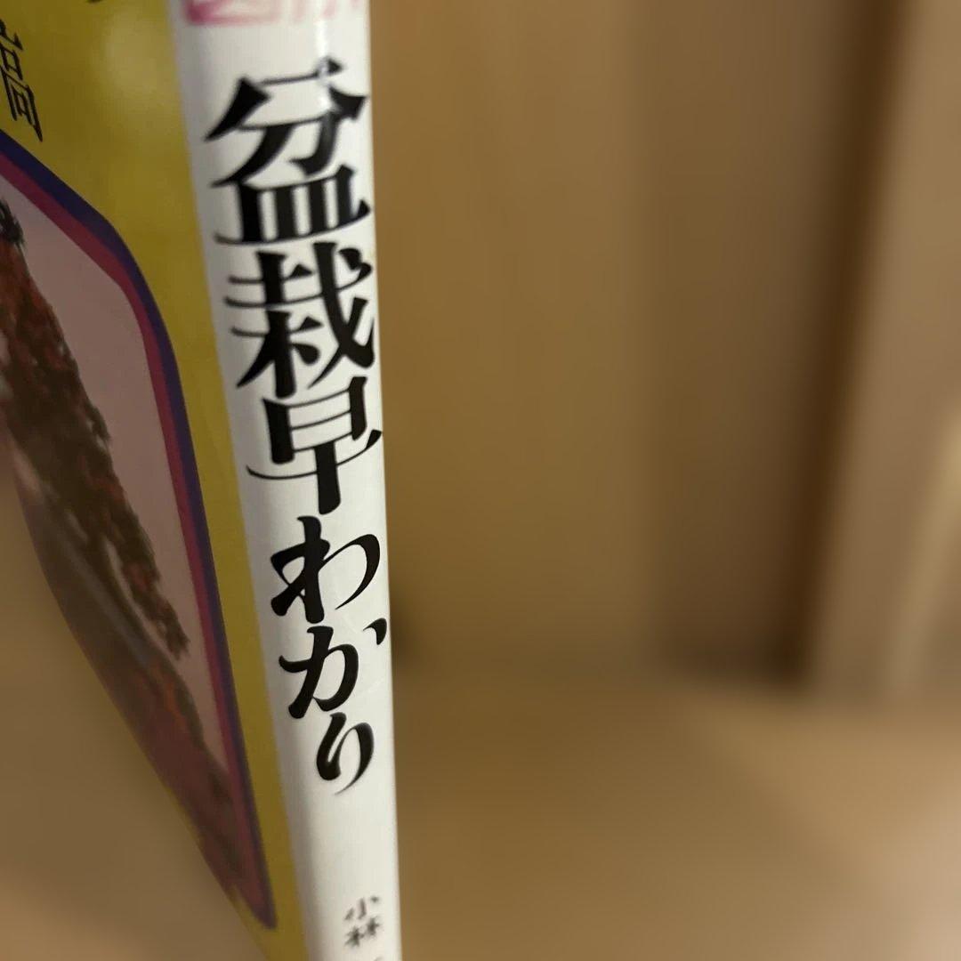 図解盆栽早わかり 小林 高